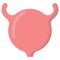 Urinary bladder human organ icon, vector illustration