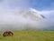 Urkiola mountain with a horse