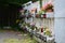 Urn cemetery in St. Martin, Linz, Upper Austria, Austria, Europe