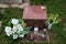Urn grave with cross on traditional cemetery. Votive candles lantern and flowers on tomb stones in graveyard. All Saints\' Day