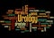 Urology word cloud concept 2