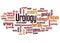 Urology word cloud concept 3