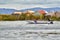 Uros floating islands-Titicaca Lake -totora-puno-Peru- 527