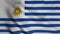 Uruguay flag waving in the wind with highly detailed fabric texture. Seamless loop, 4K