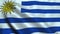 Uruguay flag waving in the wind. National flag Oriental Republic of Uruguay
