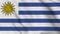 Uruguay national flag close up waving video animation.