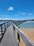 Urunga boardwalk through mangrove trees