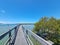 Urunga boardwalk through mangrove trees