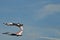 US Air Force Thunderbird fighter jets performing aerial maneuvers during an air show in Atlanta, GA