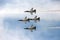 US Air Force Thunderbirds in Close formation