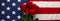 US American flag with roses