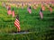 US American Flags Honoring Veterans Cemetery Grave