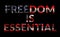 US anti-lockdown protests concept. text `freedom is essential` on America flag wall painting background, grunge style