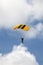 US Army Golden Knights