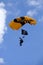 US Army Golden Knights