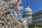 US Capitol Building - Washington, DC