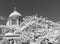 us capitol with summer sakura bloom. Washington State Capitol. Legislative Building