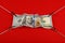 US dollar banknote stretched on red background