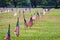 Us flags in a veterans cemetery on Veterans day