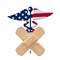 US health care bill caduceus with flag