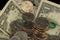 US Money, dollars, dimes, nickels and quarters piled randomly