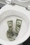 US one dollar bills flushed down the toilet, toilet paper worthless money concept