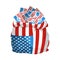 US presidential elections. Full bag of votes
