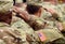 US soldier salute. US army. US troops. Military of USA