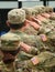 US soldiers saluting