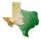 US state of Texas relief map