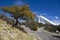 USA - Arizona - Kitt Peak astronomical observatory