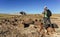 USA, ARIZONA- NOVEMBER 18, 2019:  The trunks of petrified trees, multi-colored crystals of minerals. Petrified Forest National