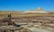 USA, ARIZONA- NOVEMBER 18, 2019:  The trunks of petrified trees, multi-colored crystals of minerals. Petrified Forest National