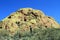 USA, Arizona/Sonoran Desert - Green Rock
