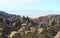 USA, AZ/Chiricahua: Landscape with Standing-Up Rocks
