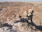 USA,AZ: Petrified Forest NP - Conglomerate Hoodoos