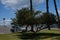 USA California Los Angeles Santa Monica District May 13, 2023 parking lot on the ocean shore and trees in the foreground