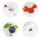 USA, China, Brazil, Japan map contour and national flag in a circle