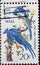 USA - Circa 1967 : a postage stamp printed in the US showing two birds `Columbia Jays` Text: Audubon United States Air Mail