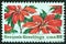 USA - CIRCA 1985: A stamp printed in USA issued for Christmas shows poinsettia plants, circa 1985.