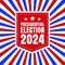 USA election 2024 vector background