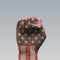 USA Flag Clenched Fist