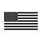 USA flag icon