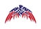 USA Flag Patriotic Eagle Bald Hawk Vector Logo