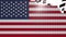 USA flag Showing Up Intro By Regions 4k animated United Kingdom map intro background with countries appearing and fading