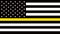 USA flag with a thin yellow or gold line