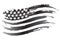 USA Flag Vector grayscale Icon