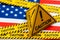 USA Flag virus 2019-ncov outbreak covid-19, covid illustration