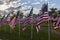 USA flags American Independence day veterans celebration flag display