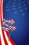 Usa graphic. american flag balloon flag background
